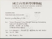 登錄號:F0033870藏品圖，第2張