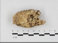 登錄號:F0033870藏品圖，第1張