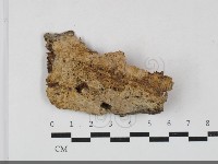 登錄號:F0033871藏品圖，第1張