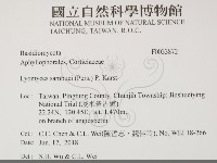 登錄號:F0033872藏品圖，第2張