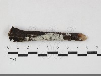 登錄號:F0033872藏品圖，第1張