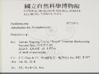 筍殼菌屬藏品圖，第2張