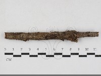 登錄號:F0033874藏品圖，第1張