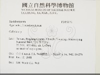 登錄號:F0033878藏品圖，第2張