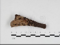 登錄號:F0033882藏品圖，第1張