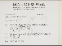 登錄號:F0033884藏品圖，第2張