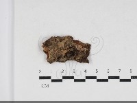 登錄號:F0033884藏品圖，第1張