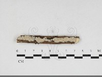 登錄號:F0033885藏品圖，第1張