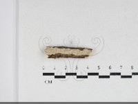 登錄號:F0033887藏品圖，第1張