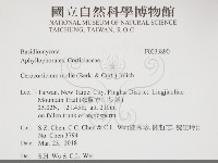 登錄號:F0033890藏品圖，第2張