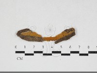 登錄號:F0033890藏品圖，第1張