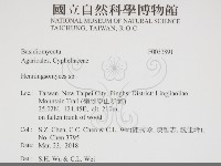 登錄號:F0033891藏品圖，第2張