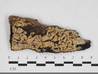 登錄號:F0033891藏品圖，第1張