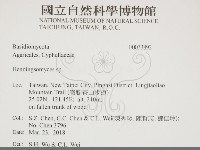 登錄號:F0033892藏品圖，第2張