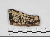 登錄號:F0033892藏品圖，第1張