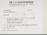 韌革菌屬藏品圖，第2張