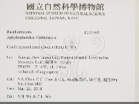 登錄號:F0033897藏品圖，第2張