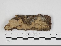 登錄號:F0033897藏品圖，第1張