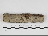 刺皮菌屬藏品圖，第1張