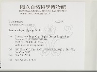 登錄號:F0033899藏品圖，第2張