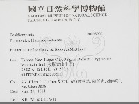 登錄號:F0033900藏品圖，第2張