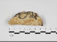 登錄號:F0033900藏品圖，第1張