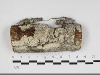 登錄號:F0033902藏品圖，第1張