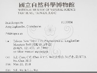 擬射脈菌屬藏品圖，第2張