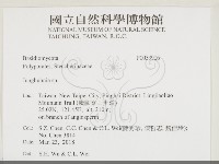 容氏菌屬藏品圖，第2張