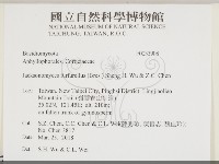 登錄號:F0033908藏品圖，第2張