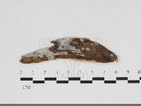 登錄號:F0033908藏品圖，第1張