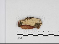 登錄號:F0033909藏品圖，第1張