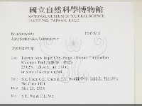 粗糙孢菌屬藏品圖，第2張