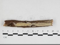 館號:F0033912藏品圖，第3張