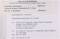 館號:F0033912藏品圖，第4張
