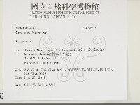 韌革菌屬藏品圖，第2張