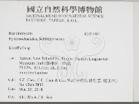 登錄號:F0033917藏品圖，第2張