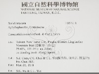 登錄號:F0033918藏品圖，第2張