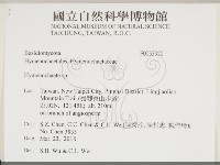 刺革菌屬藏品圖，第2張