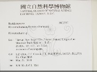 刺革菌屬藏品圖，第2張