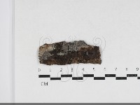 登錄號:F0033923藏品圖，第1張