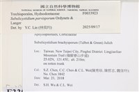 登錄號:F0033923藏品圖，第3張