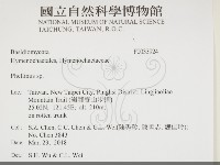 木層孔菌屬藏品圖，第2張