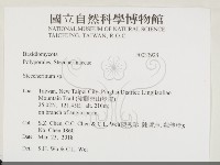 齒耳菌屬藏品圖，第2張