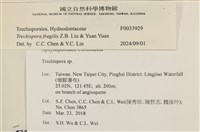 登錄號:F0033929藏品圖，第3張