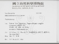 擬射脈菌屬藏品圖，第2張