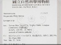 登錄號:F0033932藏品圖，第2張