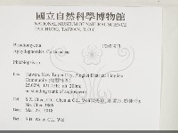 擬射脈菌屬藏品圖，第2張