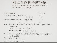 登錄號:F0033934藏品圖，第2張