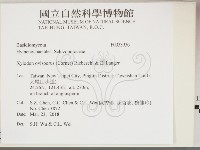 登錄號:F0033936藏品圖，第2張